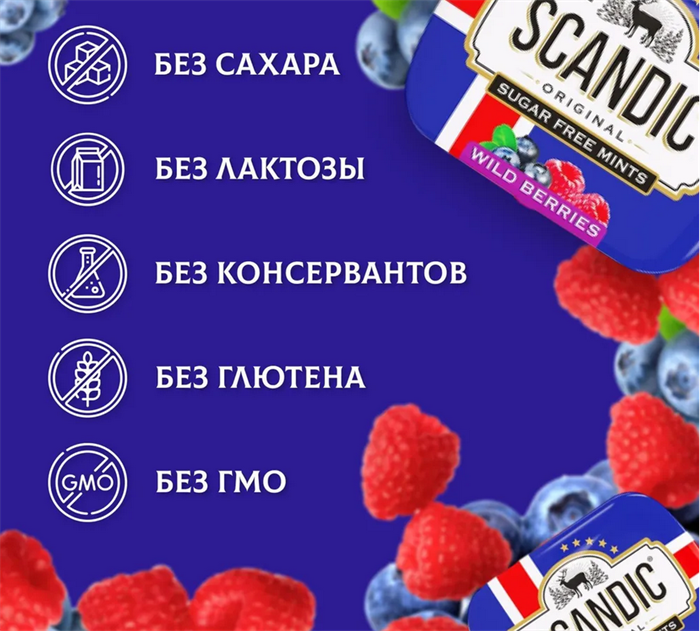 Конфеты SCANDIC без сахара со вкусом "Лесные ягоды" 14 гр 4603738769230 - фото 4296